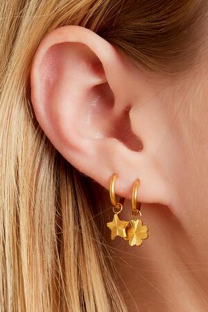 Stainles steel earrings star Gold Stainless Steel h5 Picture2